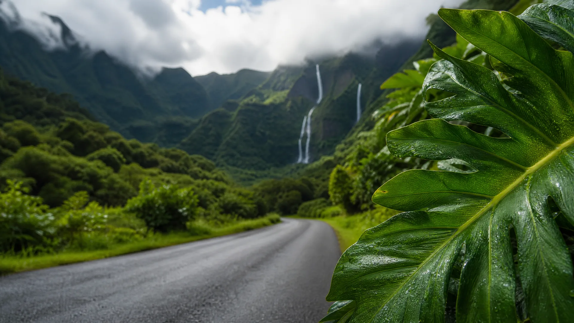 A paved road curves through dense green vegetation toward cloud-covered mountains with tall thin waterfalls, with a large water-beaded split leaf filling the right foreground.