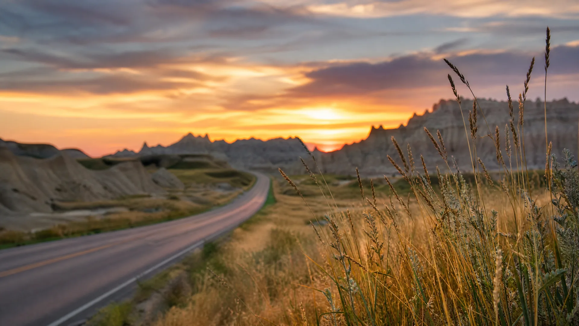 A two-lane paved road curves through dry grassland toward eroded ridges and buttes under an orange and purple sunset sky, with tall seed-headed grasses in sharp focus at the right foreground.
